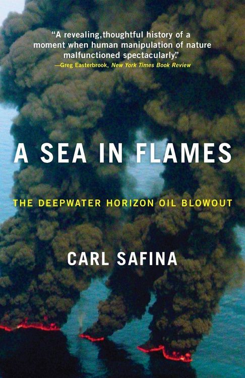 Produktbild: A Sea in Flames