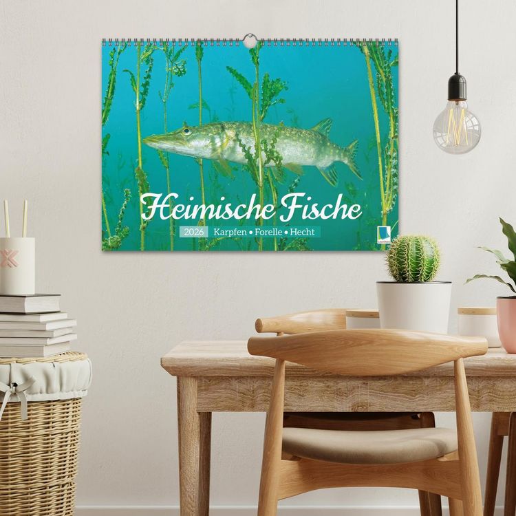 Produktbild: Heimische Fische: Karpfen, Forelle, Hecht (Wandkalender 2026 DIN A3 quer), CALVENDO Monatskalender