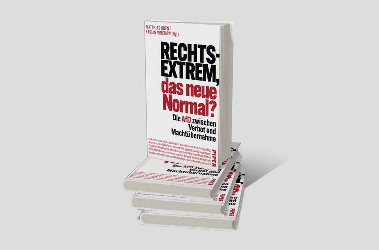 Produktbild: Rechtsextrem, das neue Normal?