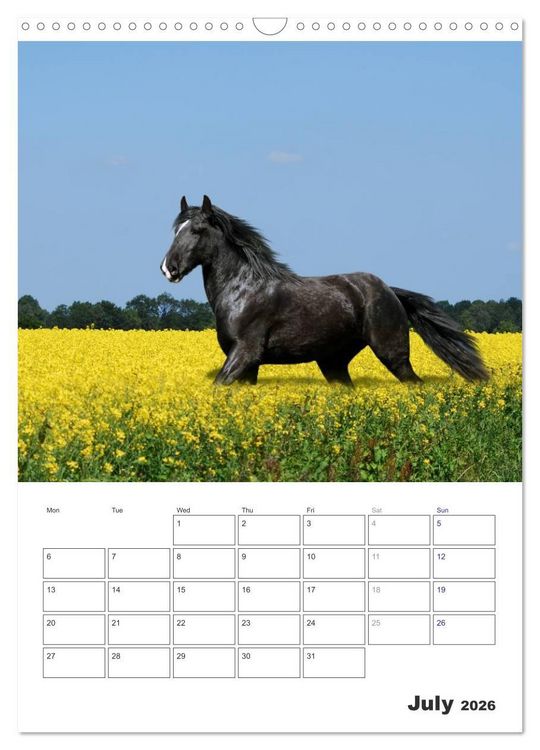 Produktbild: Shire Horses The Gentle Giants (Wall Calendar 2026 DIN A3 portrait), CALVENDO 12 Month Wall Calendar