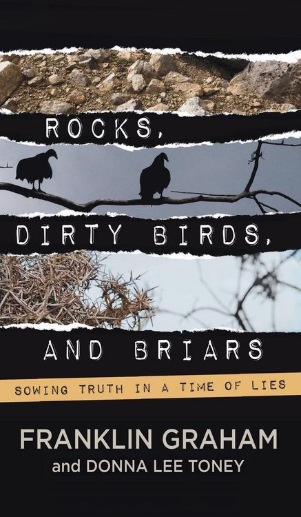 Produktbild: Rocks, Dirty Birds, and Briars