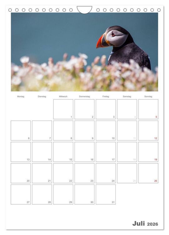 Produktbild: Eine Reise durch Wales (Wandkalender 2026 DIN A4 hoch), CALVENDO Monatskalender