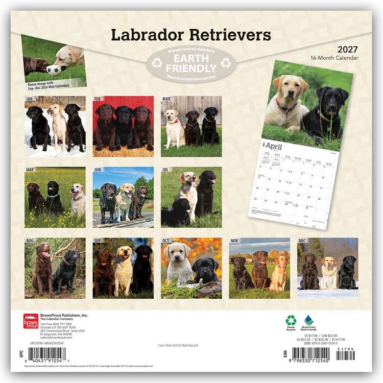 Produktbild: Labrador Retrievers &ndash; Labrador Retriever 2027 &ndash; 16-Monatskalender