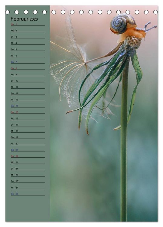 Produktbild: Pastell-Zauber (Tischkalender 2026 DIN A5 hoch), CALVENDO Monatskalender