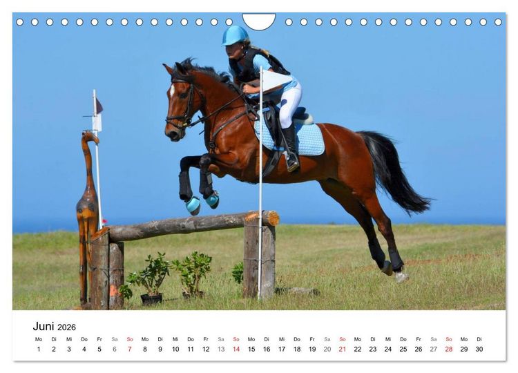 Produktbild: Eventing - Der ultimative Reitsport (Wandkalender 2026 DIN A4 quer), CALVENDO Monatskalender