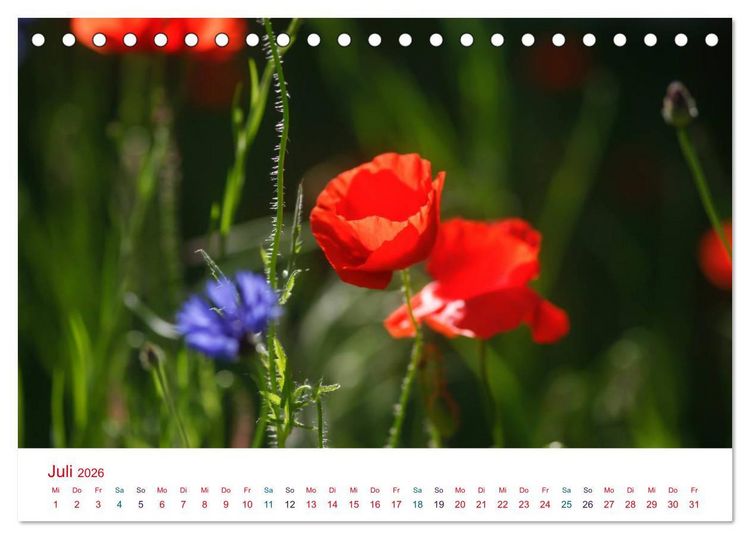 Produktbild: Mohnblumen (Tischkalender 2026 DIN A5 quer), CALVENDO Monatskalender