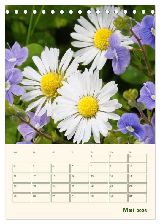 Produktbild: Vertr&auml;umte G&auml;nsebl&uuml;mchen (Tischkalender 2026 DIN A5 hoch), CALVENDO Monatskalender