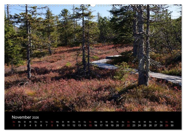 Produktbild: Zauberhafter Bayerischer Wald (Wandkalender 2026 DIN A2 quer), CALVENDO Monatskalender