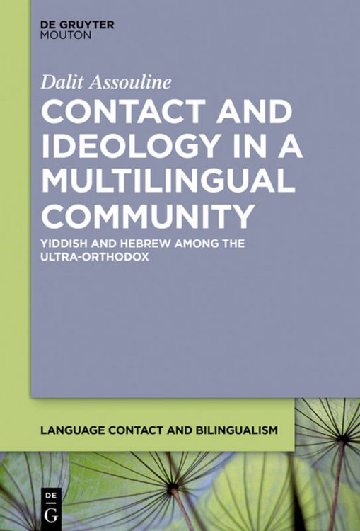Produktbild: Contact and Ideology in a Multilingual Community