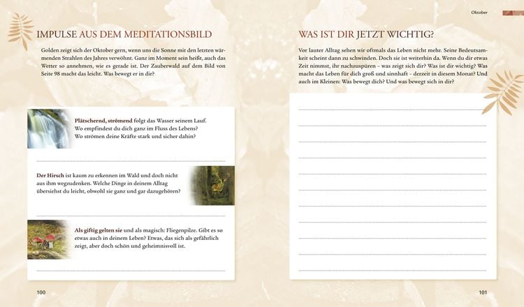 Mein Begleiter durch die Jahreszeiten