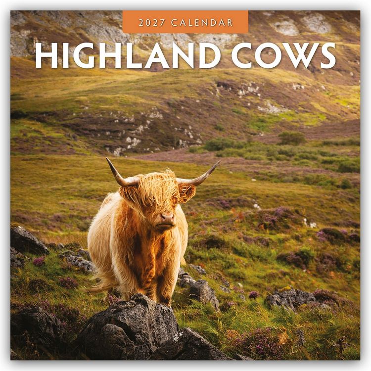 Produktbild: Highland Cows &ndash; Hochland K&uuml;he 2027 &ndash; 16-Monatskalender
