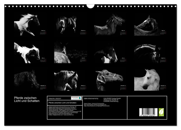 Produktbild: Pferde zwischen Licht und Schatten (Wandkalender 2026 DIN A3 quer), CALVENDO Monatskalender