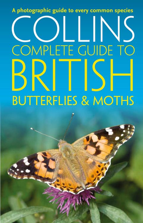 Produktbild: British Butterflies and Moths