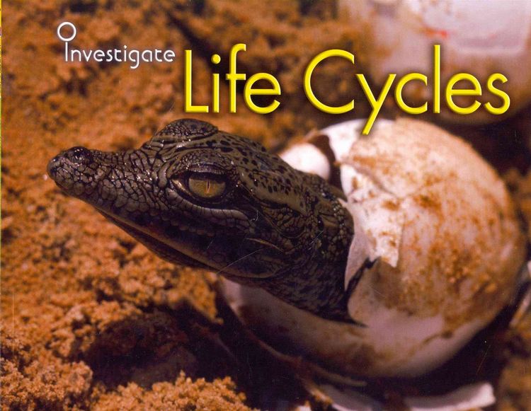 Produktbild: Life Cycles