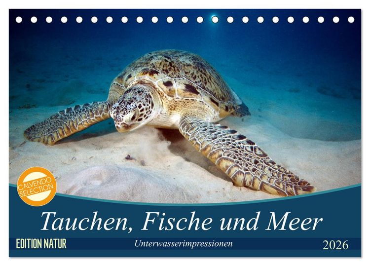 Produktbild: Tauchen, Fische und Meer (Tischkalender 2026 DIN A5 quer), CALVENDO Monatskalender
