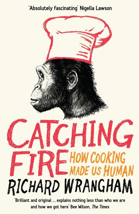 Produktbild: Catching Fire