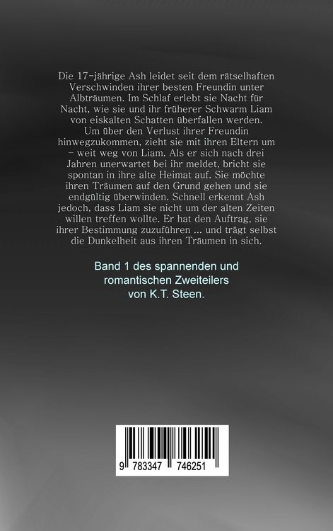 Produktbild: Ash - Dunkle Stille