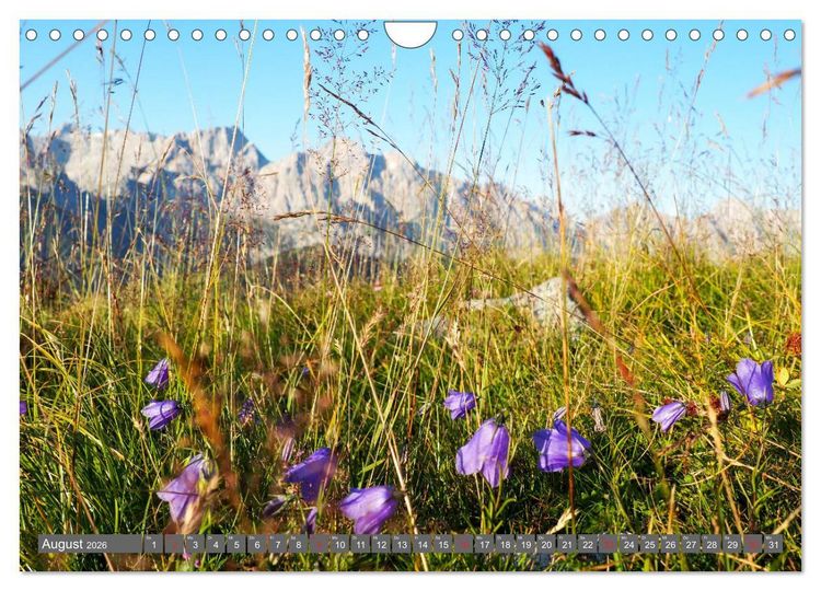 Produktbild: Flora der Alpen (Wandkalender 2026 DIN A4 quer), CALVENDO Monatskalender