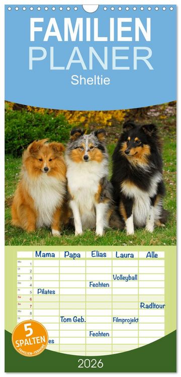 Produktbild: Familienplaner 2026 - Sheltie 2026 mit 5 Spalten (Wandkalender, 21 x 45 cm) CALVENDO