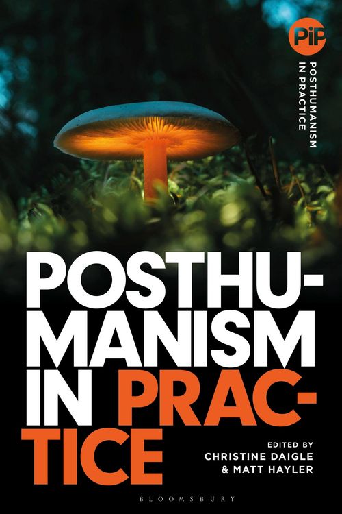 Produktbild: Posthumanism in Practice