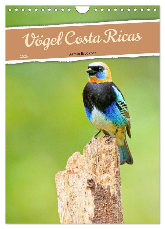 Produktbild: V&ouml;gel Costa Ricas (Wandkalender 2026 DIN A4 hoch), CALVENDO Monatskalender