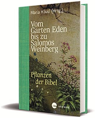 Produktbild: Vom Garten Eden bis zu Salomos Weinberg