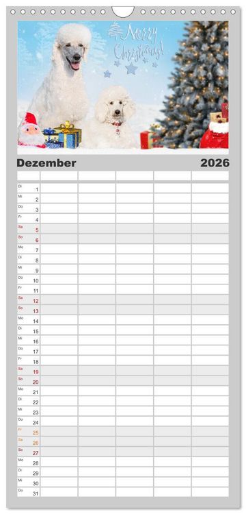 Produktbild: Familienplaner 2026 - Pudel - Gl&uuml;ck auf vier Pfoten mit 5 Spalten (Wandkalender, 21 x 45 cm) CALVENDO