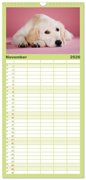 Produktbild: Familienplaner 2026 - Golden Retriever mit 5 Spalten (Wandkalender, 21 x 45 cm) CALVENDO