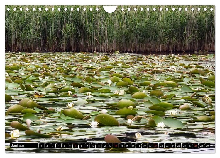 Produktbild: Mecklenburgische Seenplatte - zum Tr&auml;umen sch&ouml;n (Wandkalender 2026 DIN A4 quer), CALVENDO Monatskalender