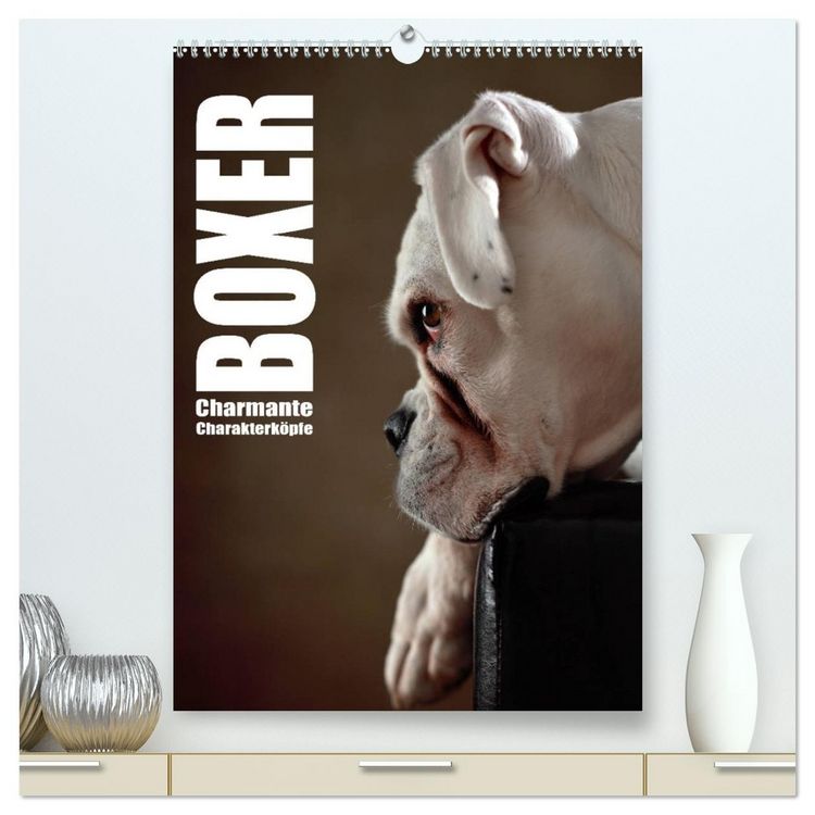 Produktbild: Boxer - Charmante Charakterk&ouml;pfe (hochwertiger Premium Wandkalender 2026 DIN A2 hoch), Kunstdruck in Hochglanz