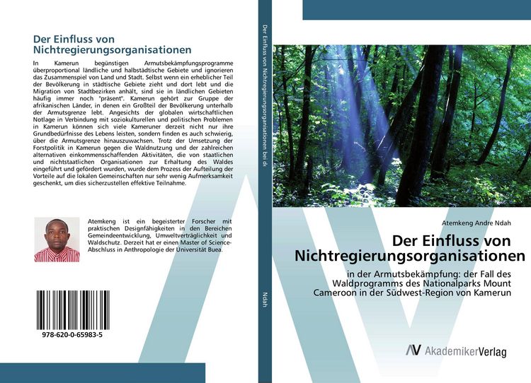 Produktbild: Der Einfluss von Nichtregierungsorganisationen