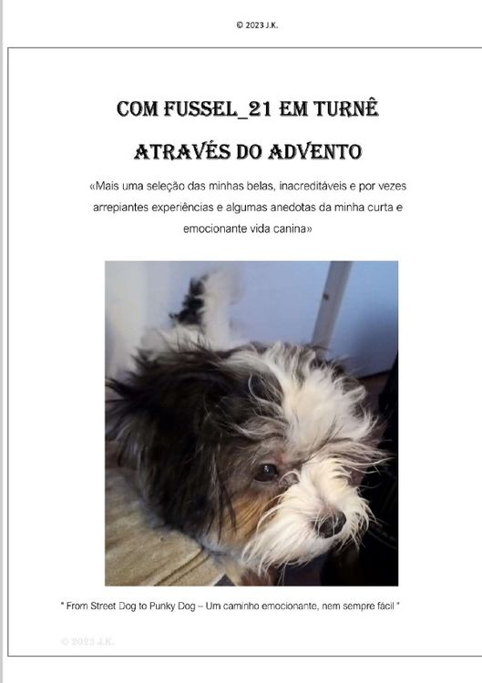 Produktbild: Com Fussel_21 em turn&ecirc; atrav&eacute;s do avento