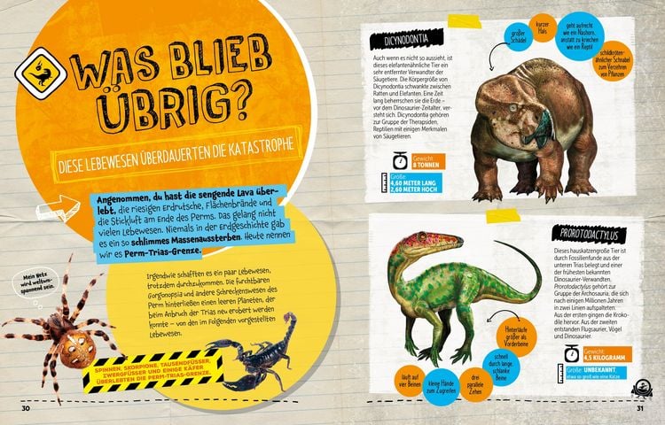 Produktbild: SURVIVAL GUIDE. Wie überlebst du im Zeitalter der DINOSAURIER!