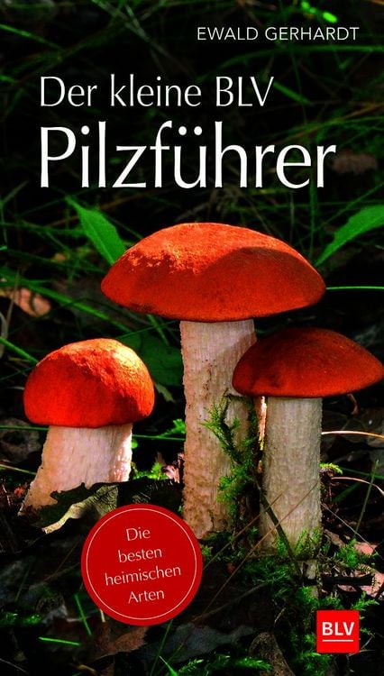 Produktbild: Der kleine BLV Pilzf&uuml;hrer
