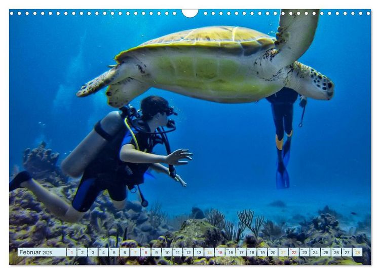 Produktbild: Tauchen - Abenteuer unter Wasser (Wandkalender 2026 DIN A3 quer), CALVENDO Monatskalender