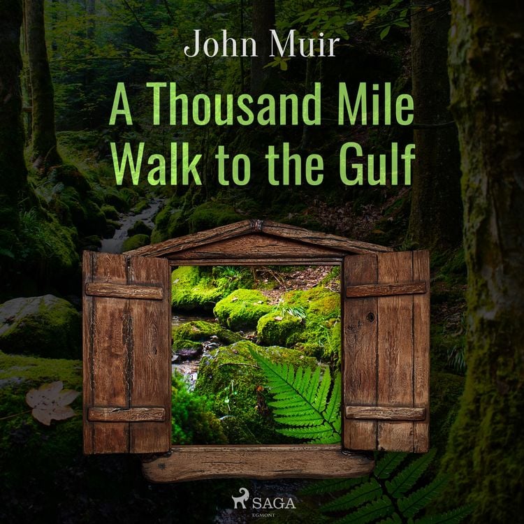 Produktbild: A Thousand Mile Walk to the Gulf