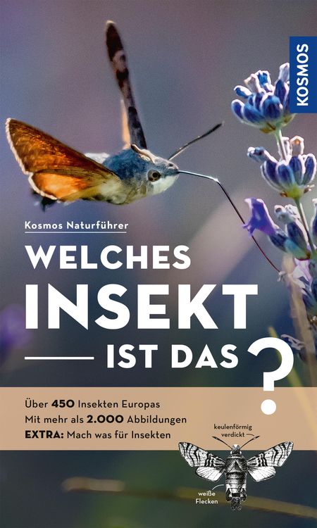 Produktbild: Welches Insekt ist das?