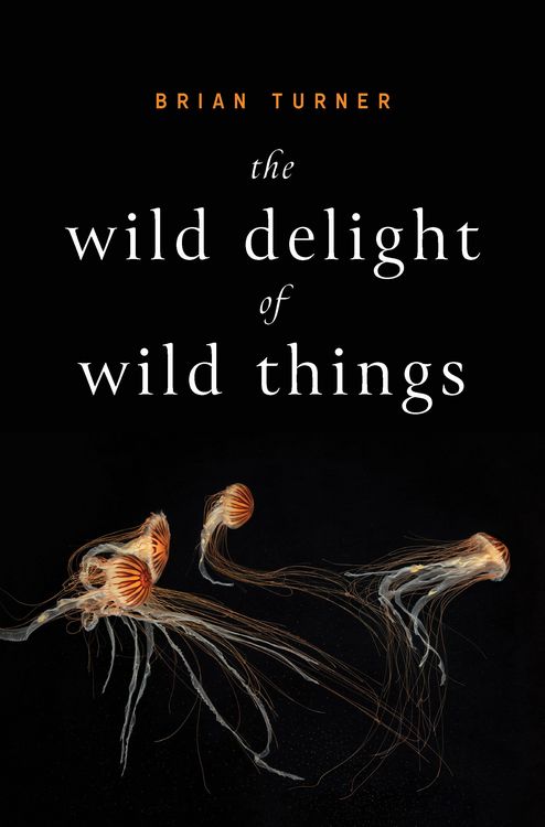Produktbild: The Wild Delight of Wild Things