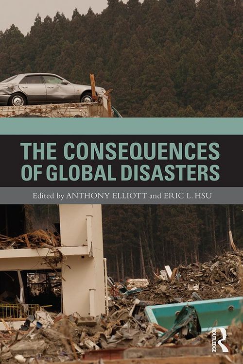 Produktbild: The Consequences of Global Disasters