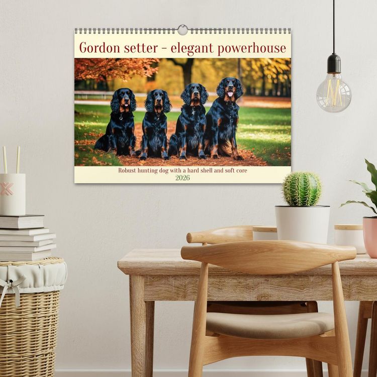 Produktbild: Gordon Setter - elegant powerhouse (Wall Calendar 2026 DIN A3 landscape), CALVENDO 12 Month Wall Calendar