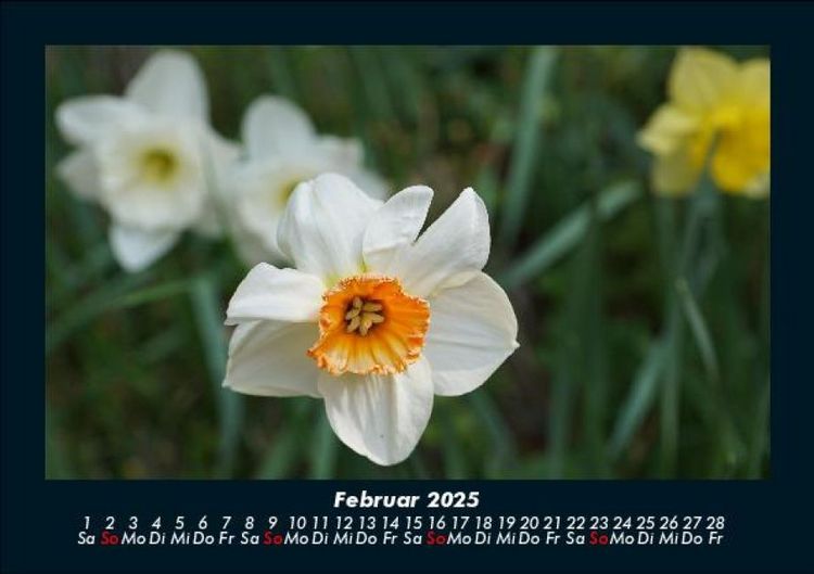 Produktbild: Blumenzauber 2025 Fotokalender DIN A5