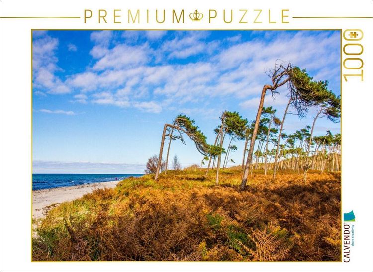 Produktbild: CALVENDO Puzzle Am wilden Dar&szlig;er Weststrand | 1000 Teile Lege-Gr&ouml;&szlig;e 64x48cm Foto-Puzzle f&uuml;r gl&uuml;ckliche Stunden