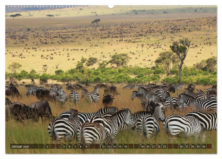 Produktbild: Afrika - Zauber der Wildnis (hochwertiger Premium Wandkalender 2026 DIN A2 quer), Kunstdruck in Hochglanz