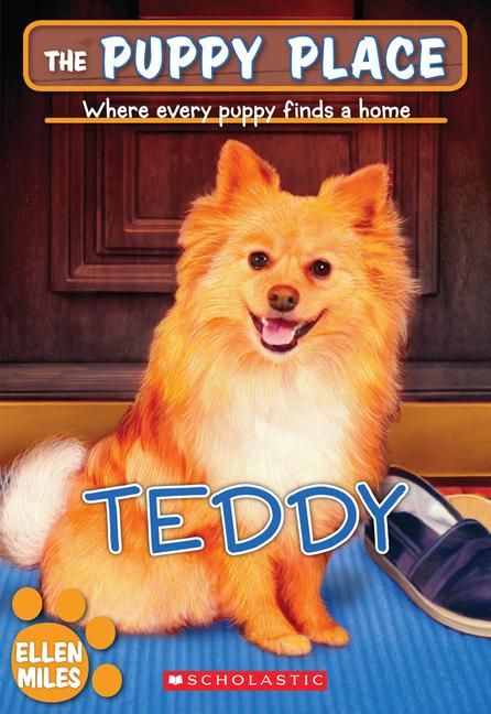 Produktbild: Teddy (the Puppy Place #28)