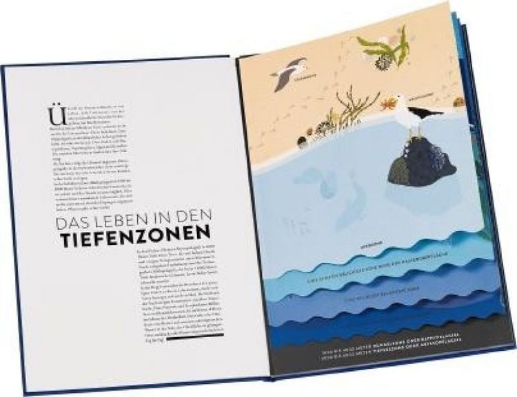 Produktbild: Ozeane