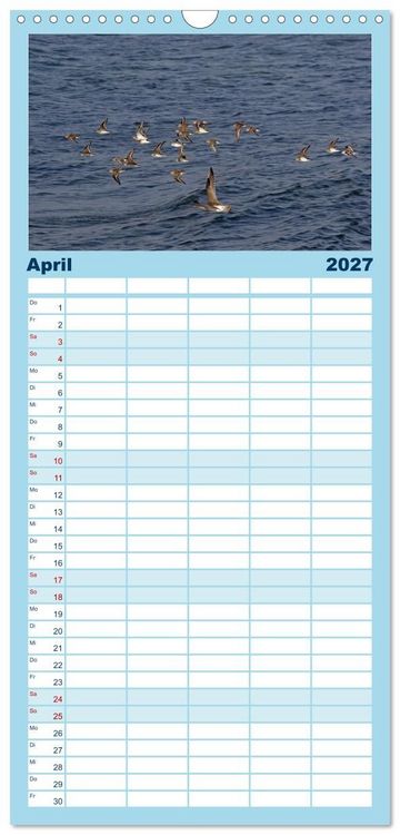 Produktbild: Familienplaner 2027 - V&ouml;gel im Flug - Akrobaten der L&uuml;fte mit 5 Spalten (Wandkalender, 21 x 45 cm) CALVENDO