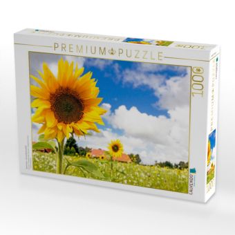 Produktbild: CALVENDO Puzzle Eversmeer - Sonnenblumenfeld | 1000 Teile Lege-Gr&ouml;&szlig;e 64x48cm Foto-Puzzle f&uuml;r gl&uuml;ckliche Stunden
