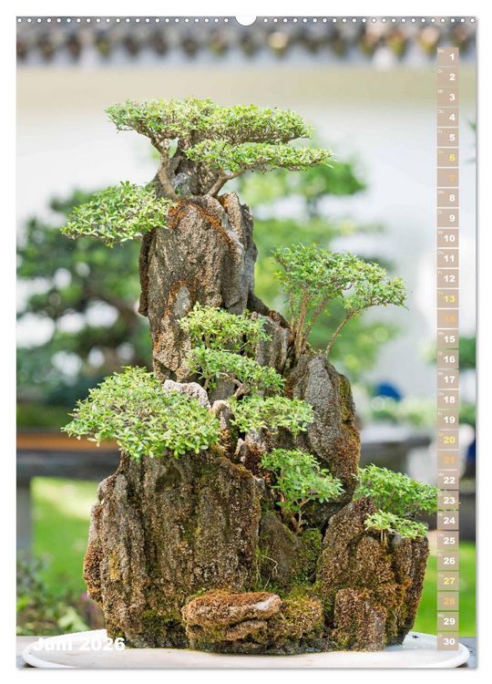 Produktbild: Bonsai: Gartenkunst im Kleinen (Wandkalender 2026 DIN A2 hoch), CALVENDO Monatskalender