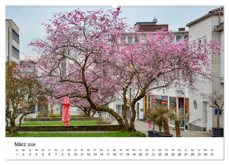 Produktbild: Kassel - Morgenlicht (Wandkalender 2026 DIN A2 quer), CALVENDO Monatskalender