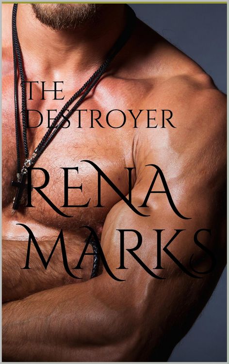 Produktbild: The Destroyer (Stargazer Series, #6)